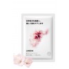 LANBENA mascarilla de Frutas mascarilla facial fórmula avanzada Japonesa-flor de cerezo-952732789-Lanbena-Belleza y salud. Todo para salones de belleza