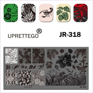 Stamping plate fern, leaves, animals, ornament, snail, cancer, chameleon, flower, toad JR-318