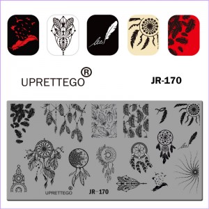 Stamping plate feather, feathers, patterns, ornament, amulet, dream catcher, birds with a feather JR-170