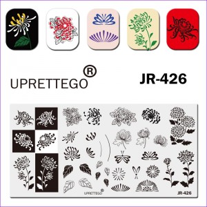 Placa de estampado JR-426 uprettego flores, plantas, estambres, ornamento, hojas