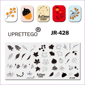 Placa de carimbo Uprettego JR-428 plantas, folhas, bagas, cinzas de montanha, frutas, outono, bordo, bolota, rosa mosqueta