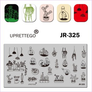 Plate for stamping cactus, house plants, flowers, aquarium, flowerpot, flask, bottle, flower, chandelier JR-325