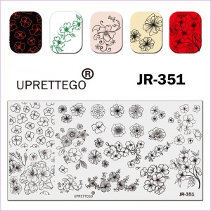 Plate for stamping flowers, field, patterns JR-351