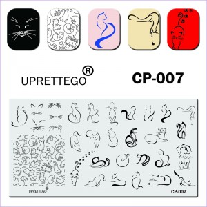 Stempelplatte JR-CP-007E Kätzchen, Katzen, Katzen, lustige Kätzchen, Muster, Schnauze, Schnurrbart Uprettego