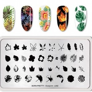 Plates for multilayer stamping Autumn, leaves, rain, feather, overprint BP-L002