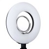 Annular lamp for make-up artist 204-MS annular (tripod included)-60878-Поставщик-Electrical equipment