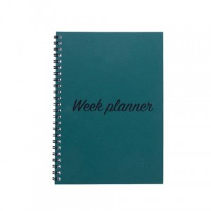 Planner-dagboek STALEKS PRO 42 pagina's (A5 formaat)