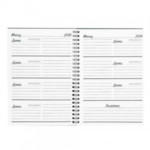 Planer-daily STALEKS PRO 42 pages (A5 format)