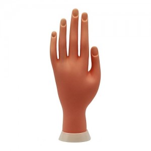  Modeling hand