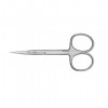 SC-20/2 (H-01) cuticle Scissors CLASSIC 20 TYPE 2, 33502, Tools Staleks,  Health and beauty. All for beauty salons,All for a manicure ,Tools for manicure, buy with worldwide shipping