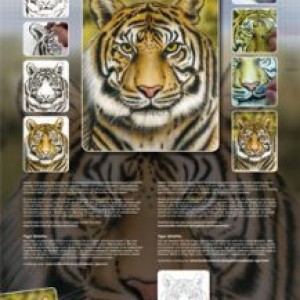  Estêncil Natureza viva, tigre