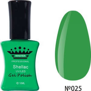  Esmalte en gel MASTER PROFESSIONAL remojo 10ml ?025 ,MAS100