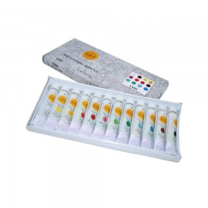  Set de peinture acrylique 12 couleurs x 12 ml