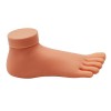 Modeling leg-58764-China-Other related products