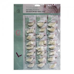  Dicas por folha 24pcs GL-1202 fosco