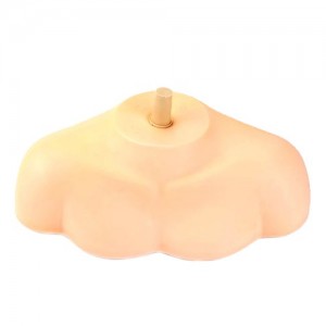 Head support (bust)