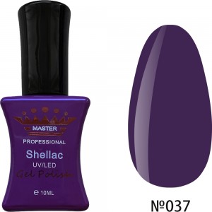  Gel polish MASTER PROFESSIONAL Soak-off 10ml ?037 ,MAS100