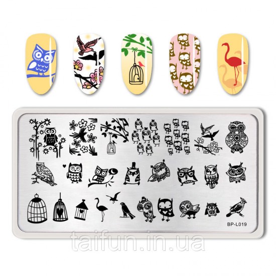 Stamping plate Born Pretty Lovely Owl Pattern BP-L019-63792-Born pretty-Stamping Born Pretty