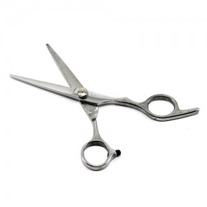  Scissors for cutting silver NS (in a bag)