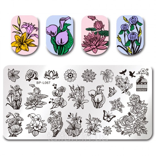 Stem plate Born Pretty BP-L067, 63864, Stamping Born Pretty,  Health and beauty. All for beauty salons,All for a manicure ,Decor and nail design, buy with worldwide shipping