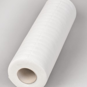 Napkins in a roll of 30x30cm Polix PRO & MED (100 PCs/roll) from Spunlace 40 g / m2 with perforation