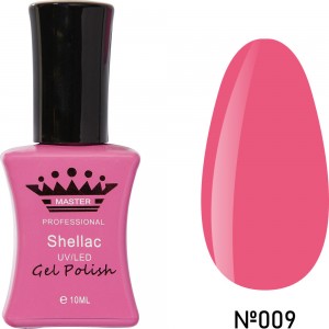  Gel polish MASTER PROFESSIONAL Soak-off 10ml ?009 ,MAS100