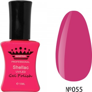  Esmalte en gel MASTER PROFESSIONAL remojo 10ml ?055 ,MAS100