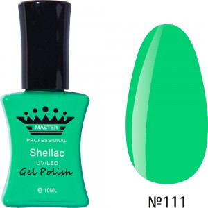  Gel polish MASTER PROFESSIONAL soak-off 10ml ?111 ,MAS100