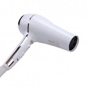  Sèche-cheveux 108 GM 2200/2400W, sèche-cheveux, coiffage, 2 vitesses, 3 réglages de température, Gemei GM-108