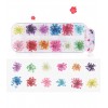 Un conjunto de flores secas de colores en un recipiente 12 colores 061-19308-Ubeauty-Decoración y diseño de uñas