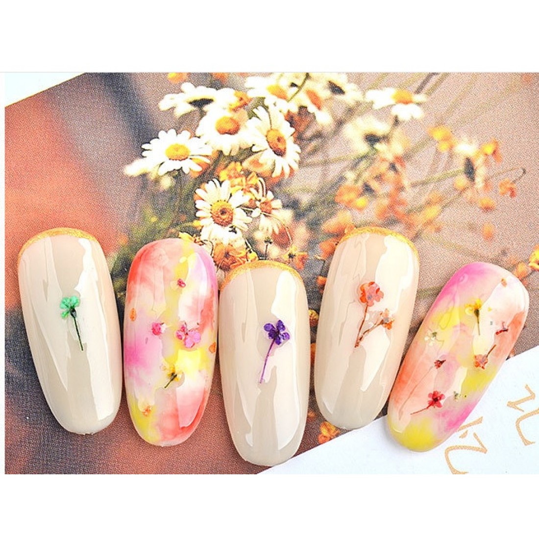 Ногти с сухоцветами 2024. Маникюр с цветами сухоцветами. Сухоцветы на ногтях. Маникюр сухоцветы на ногтях. Маникюр с сухоцветами на короткие.
