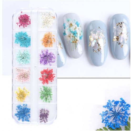 Un conjunto de flores secas de colores en un recipiente 12 colores 061-19308-Ubeauty-Decoración y diseño de uñas