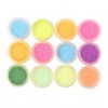 Zestaw dekorów 12 szt. Fluorescencyjny puder do paznokci (pigmentowy) #102-59713-Ubeauty-Projekt, dekoracja, wystrój