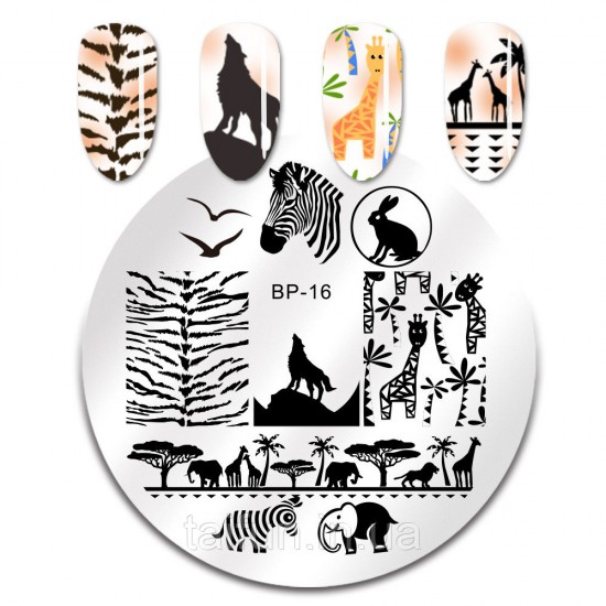 Plate for stamping Born Pretty BP-16, 63822, Stamping Born Pretty,  Health and beauty. All for beauty salons,All for a manicure ,Decor and nail design, buy with worldwide shipping