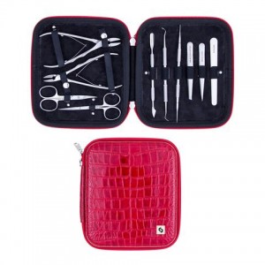 Professional manicure set MS-08