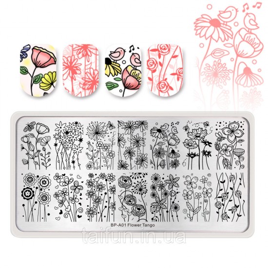 Plate for stamping Born Pretty BP-A01, 63863, Stamping Born Pretty,  Health and beauty. All for beauty salons,All for a manicure ,Decor and nail design, buy with worldwide shipping