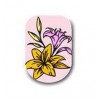 Stemping Plate Flower Collection, Nail Design (BP-L067), BP-L067, Stemping,  All for a manicure,Decor and nail design ,  buy with worldwide shipping