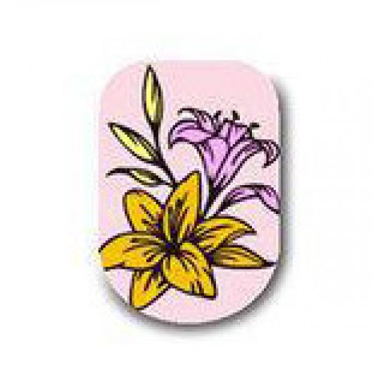 Plaque destampage Flower Collection pour Nail Art (BP-L067)-2805-Ubeauty Decor-estampillage