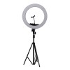 Lamp RL-18 ring 55W with mirror and holder (44.5 cm d external32.5 cm d internal) (tripod included), 60877, Electrical equipment,  Health and beauty. All for beauty salons,All for a manicure ,Electrical equipment, buy with worldwide shipping