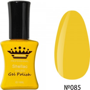  Gel polish MASTER PROFESSIONAL soak-off 10ml ?085 ,MAS100