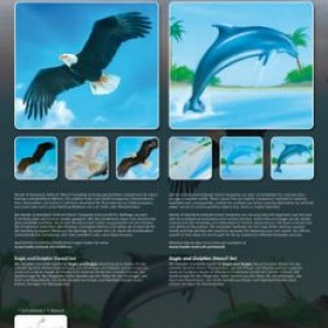  Step-by-step stencil Animals (eagle and dolphin)
