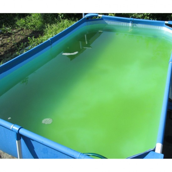 PICK UP UNIQUEMENT Moyen pour nettoyer la piscine Oxygène atomique 5 litres pour 7 tonnes deau, FURMAN-17419-Фурман-Logement