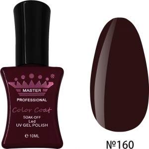  Gel polish MASTER PROFESSIONAL soak-off 10ml ?160 ,MAS100