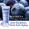 Kleimasker met bosbessenextract voor Lanbena gezicht, verfrissend, anti-aging, diepe reiniging, vetverwijdering, vernauwt de poriën, voedt-952732819-Lanbena-Schoonheid en gezondheid. Alles voor schoonheidssalons
