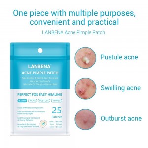  Lanbena Acne Patch 25pcs Traitement de l'acné Pimple Patch Usage Quotidien Autocollants Invisibles Soins de la Peau