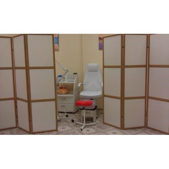 Screen cosmetology, partition in a beauty salon, 6139, Screens and partitions,  Health and beauty. All for beauty salons,Furniture ,  buy with worldwide shipping
