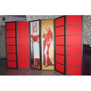  Cosmetology screen, partition for beauty salons