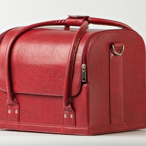  Case / suitcase for cosmetics