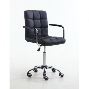 Master's chair NS 1015KR