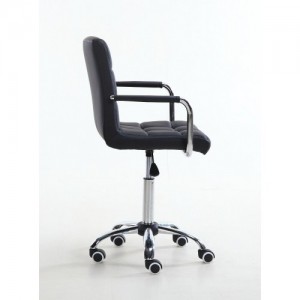Master's chair NS 1015KR